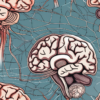 where is the olfactory nerve located A detailed human brain